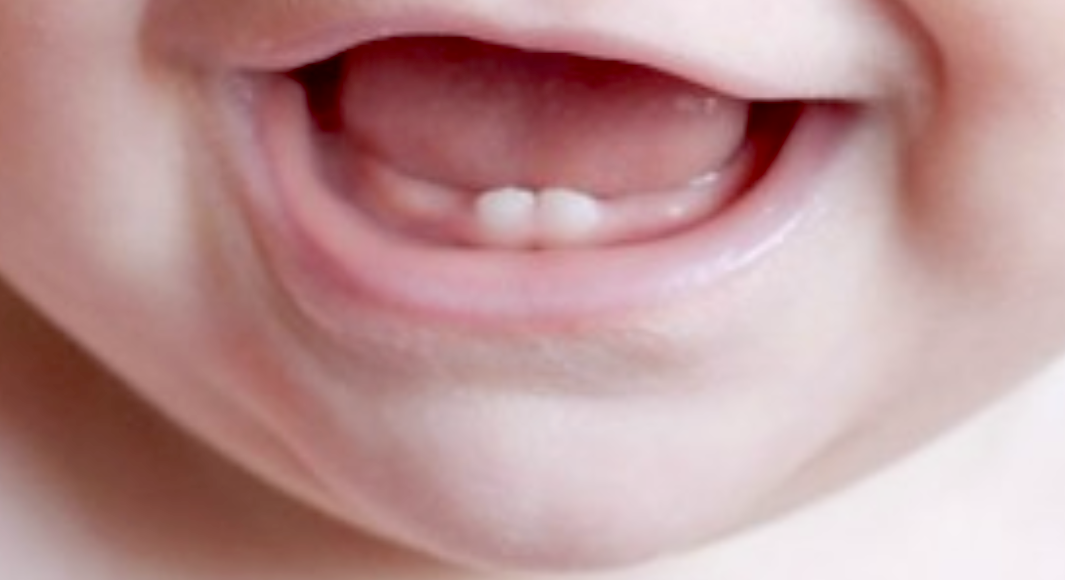 transportar La base de datos hostilidad Cuándo se forman los dientes y cuándo sale el primer diente